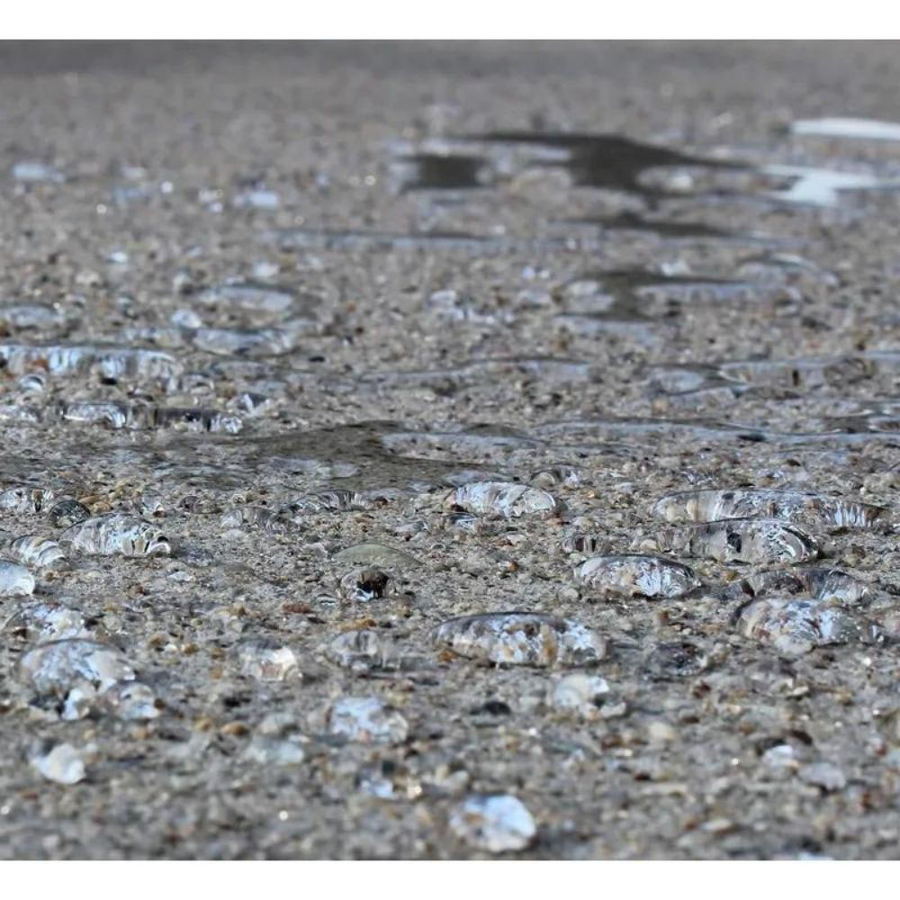 StoneCare4U Essential Concrete Sealer 5L 3 Pack Image 4