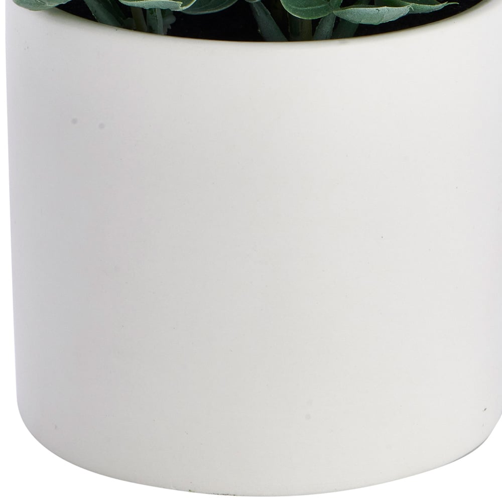 Wilko Leafy Plant in White pot Wilko