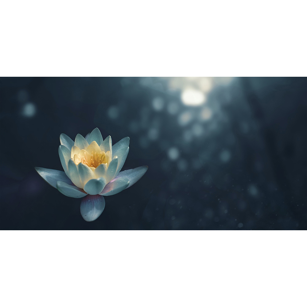 Mirrorstone Nexus Pond Lilly Picture Wi-Fi Infrared Heating Panel 700W 595 x 1195mm  Image 4