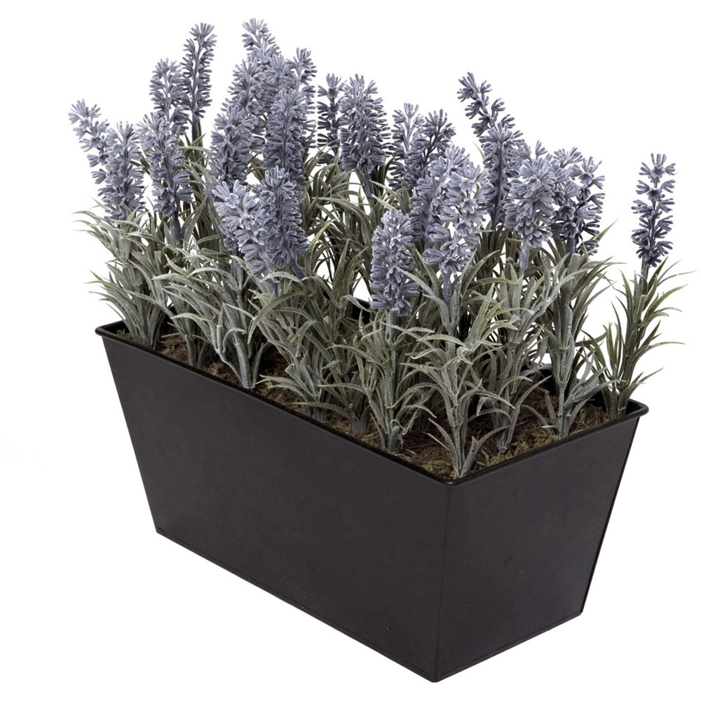 GreenBrokers Artificial Lavender Plant in Black Window Box 30cm Image 2