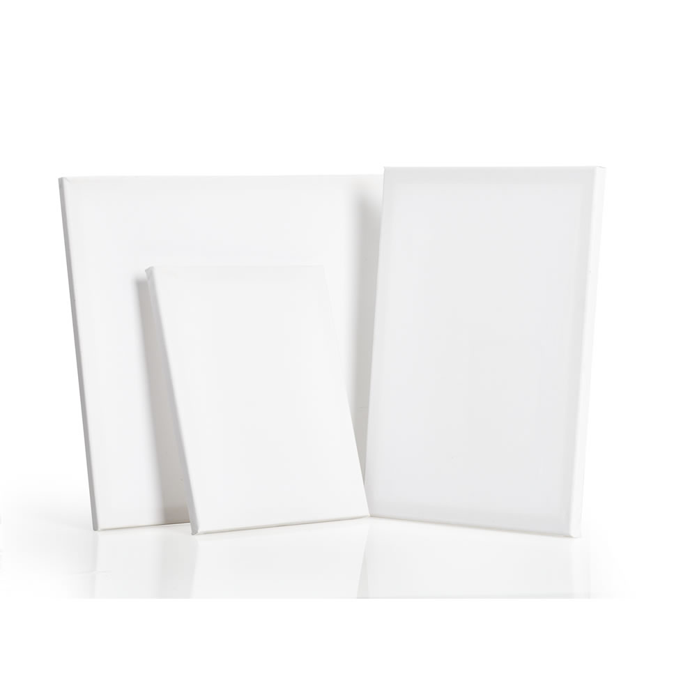 Wilko Canvases Assorted 3 Pack Image 2