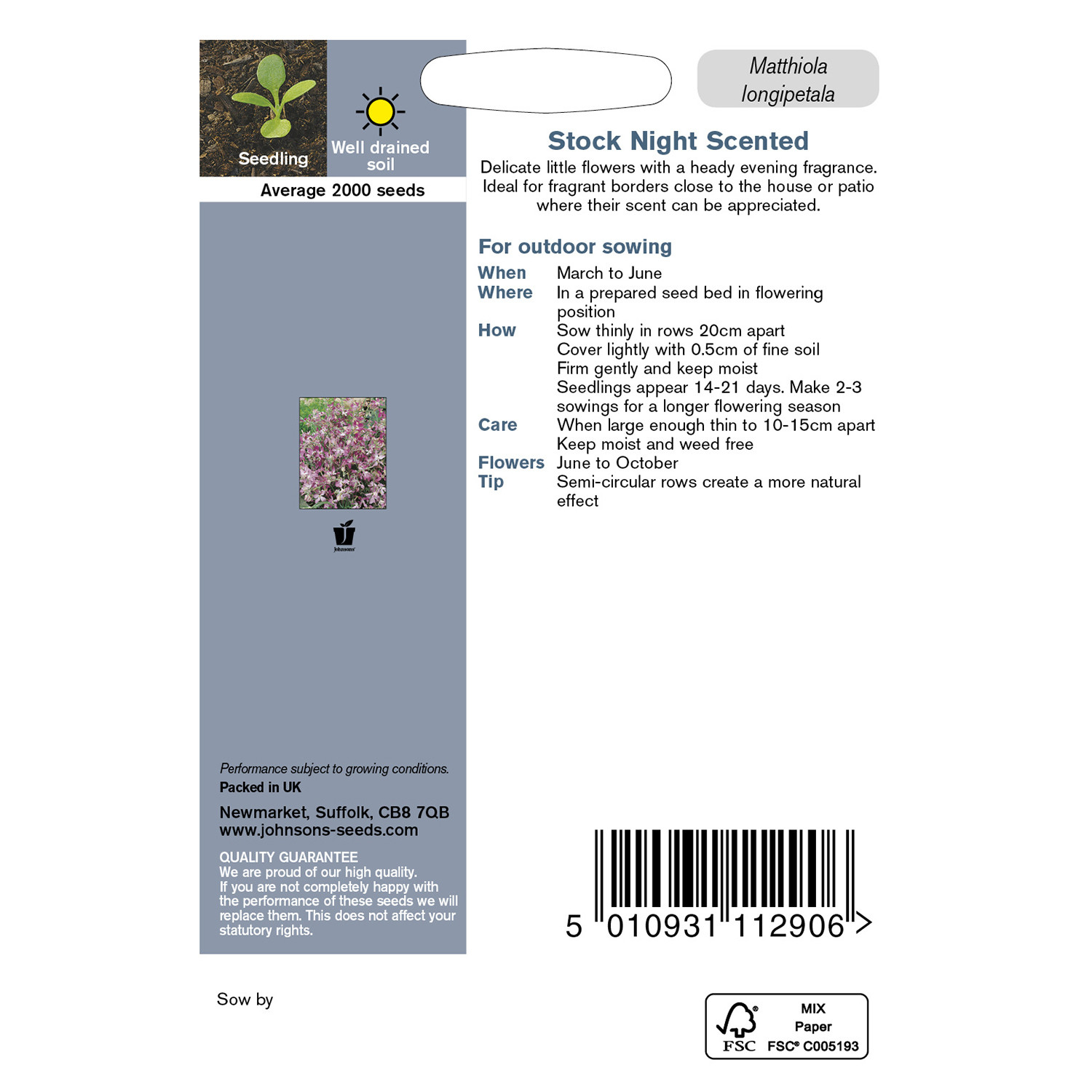 Johnsons Pack of Night Scented Stock Flower Seeds Image 2