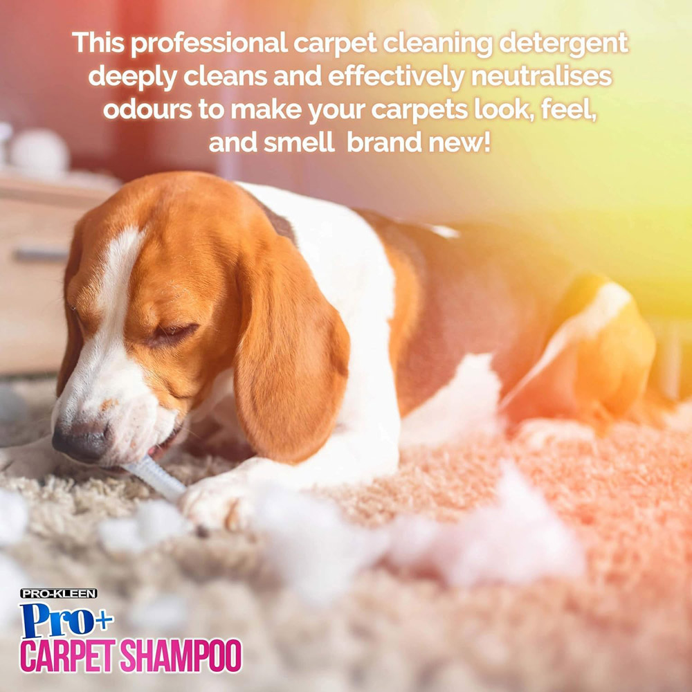 Pro-Kleen Pro Plus Lavender Pet Carpet Shampoo 5L Image 3