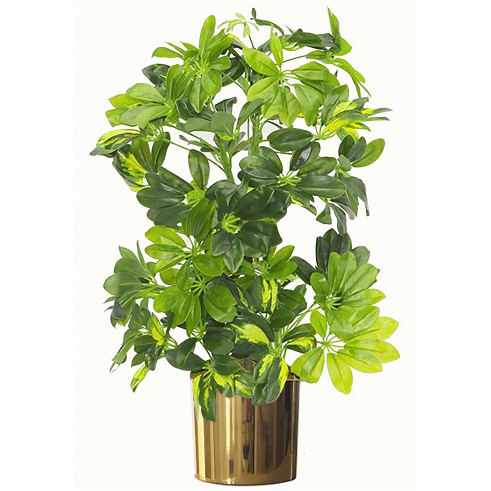 Leaf Polished Gold Shiny Metal Planter 18cm Image 2