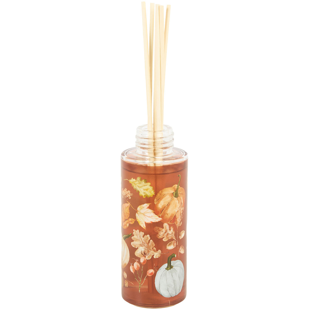 Autumn Pumpkin Reed Diffuser Image 3