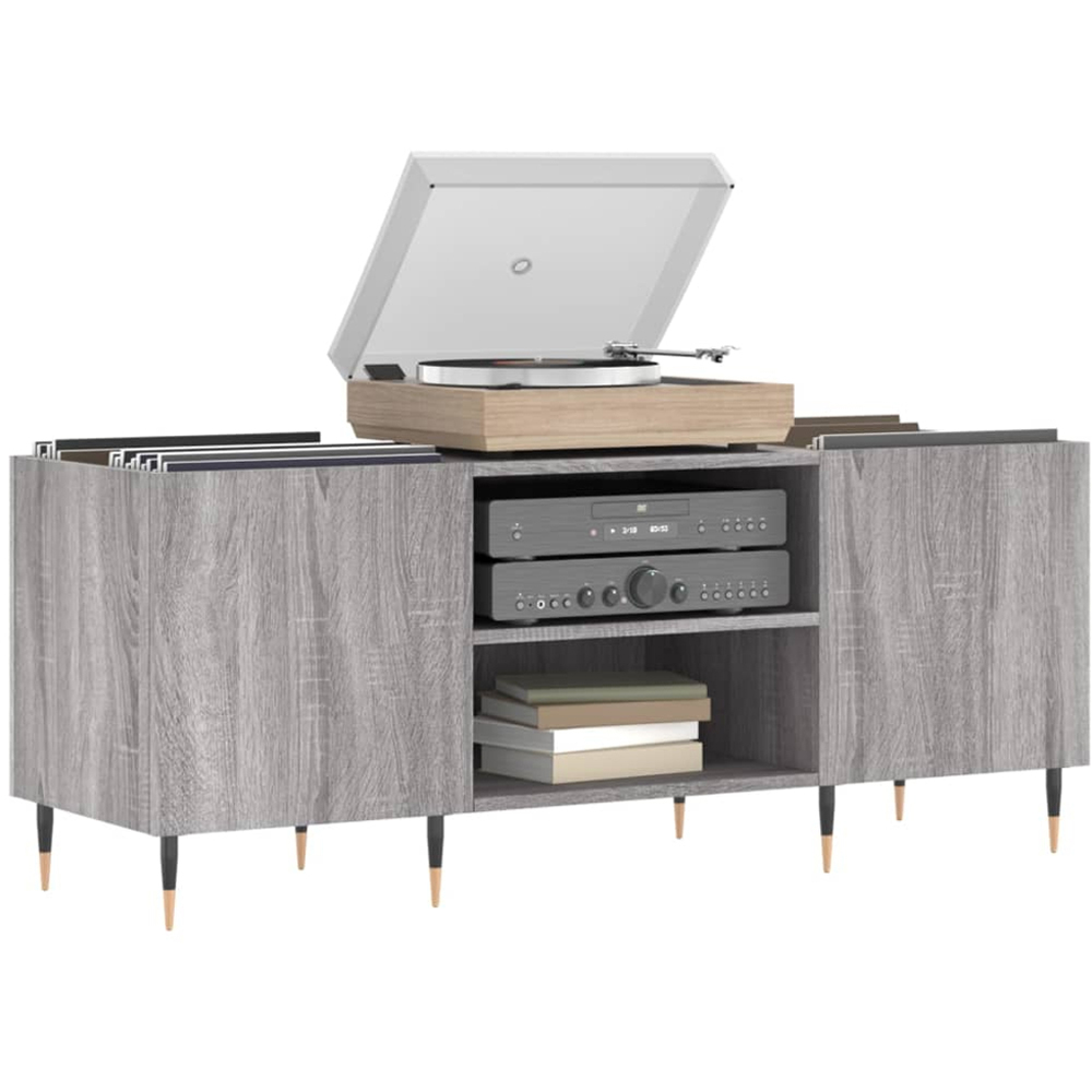 vidaXL 2 Shelf Grey Sonoma Wide Record Cabinet Image 3