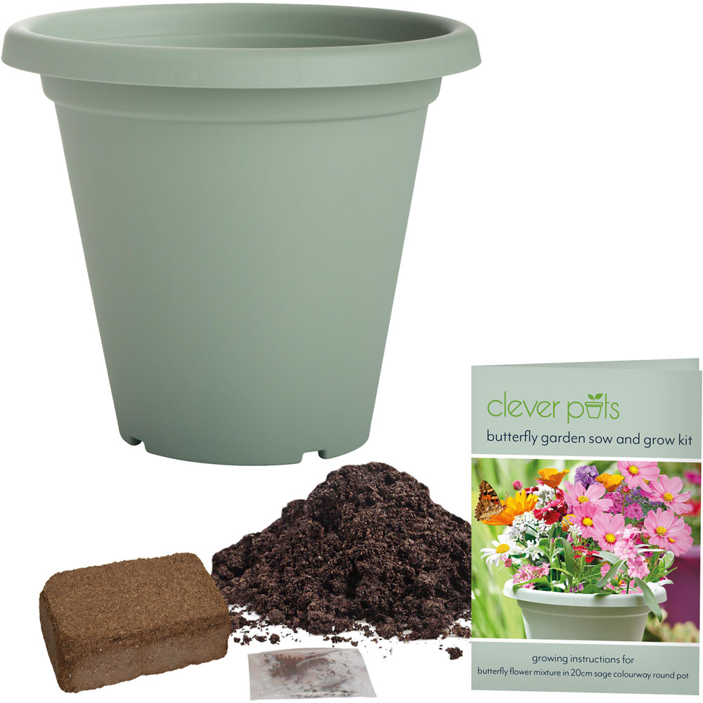 Clever Pots Butterfly Garden Sow and Grow Kit with a 19/20cm Round Pot Image 3