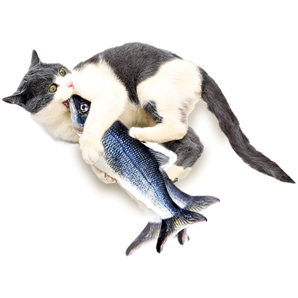 JML Flippity Fish Image 2