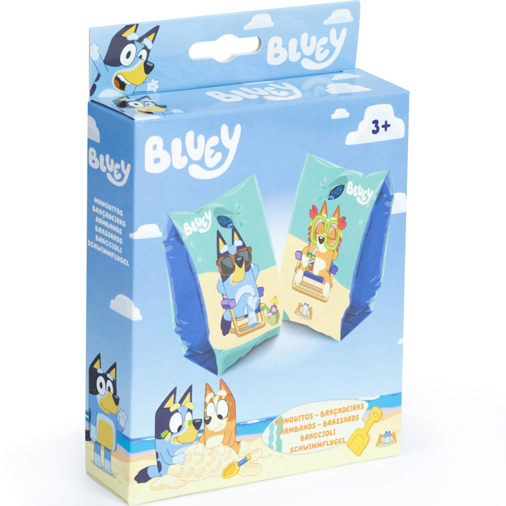 Bluey Armbands Image 2