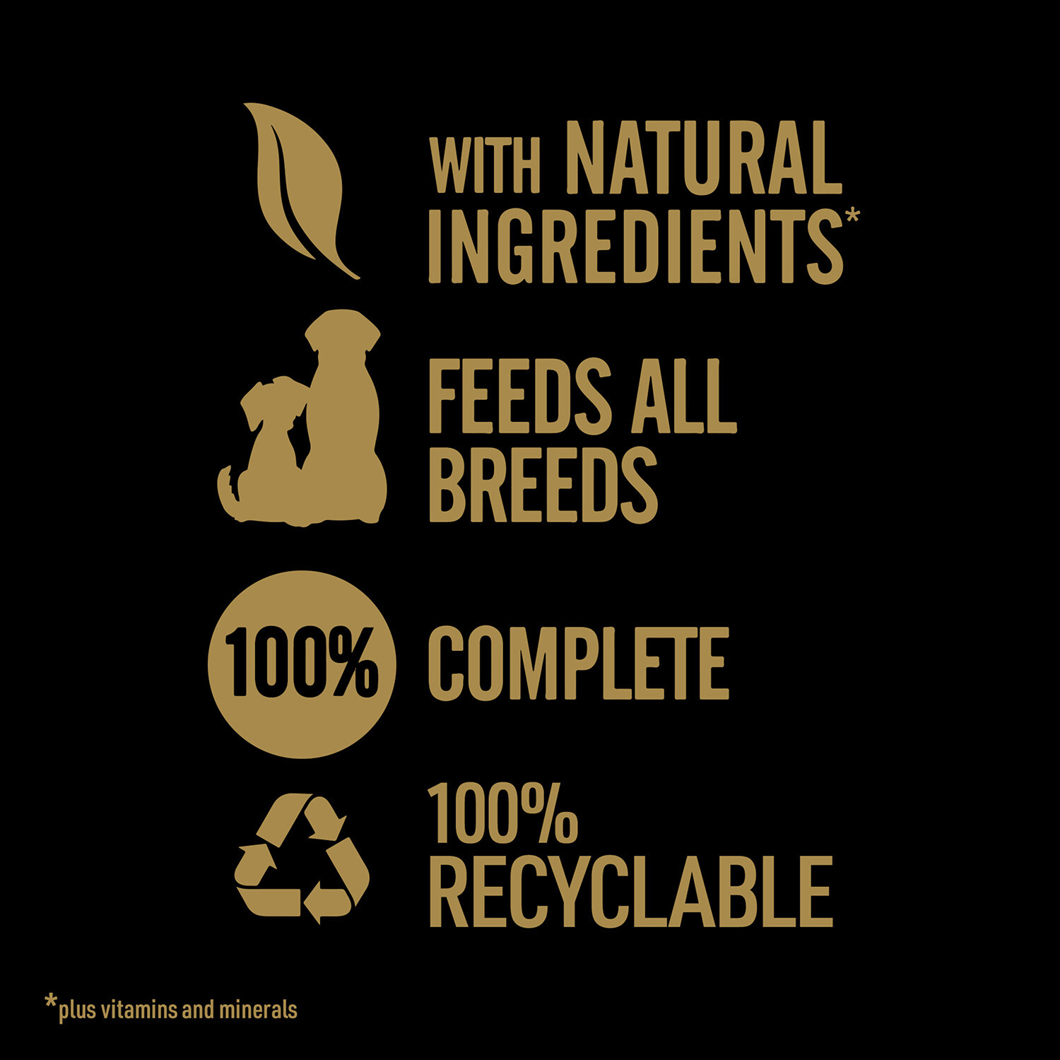Cesar Natural Goodness Wet Dog Food in Sauce Image 6