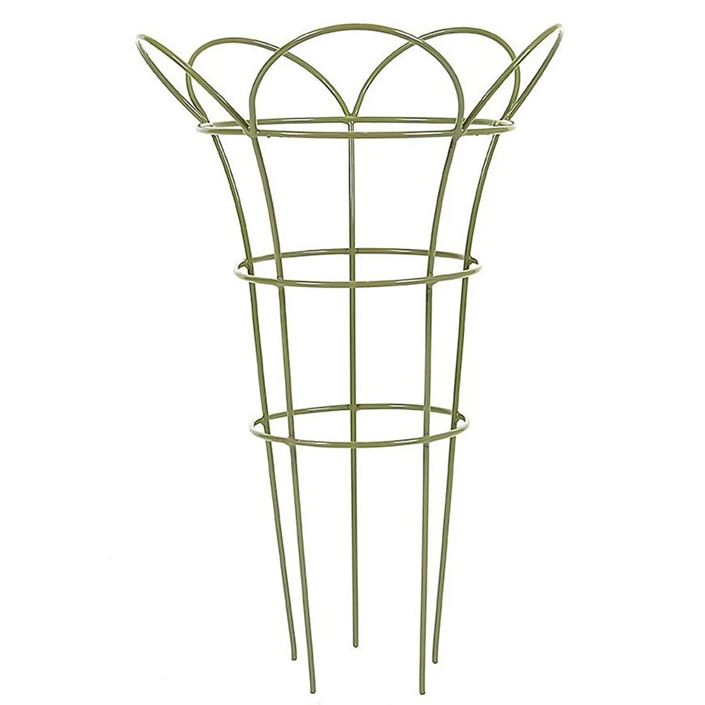 Samuel Alexander Sage Green Steel Herbaceous Garden Plant Support Basket 65cm x 37cm Image 1