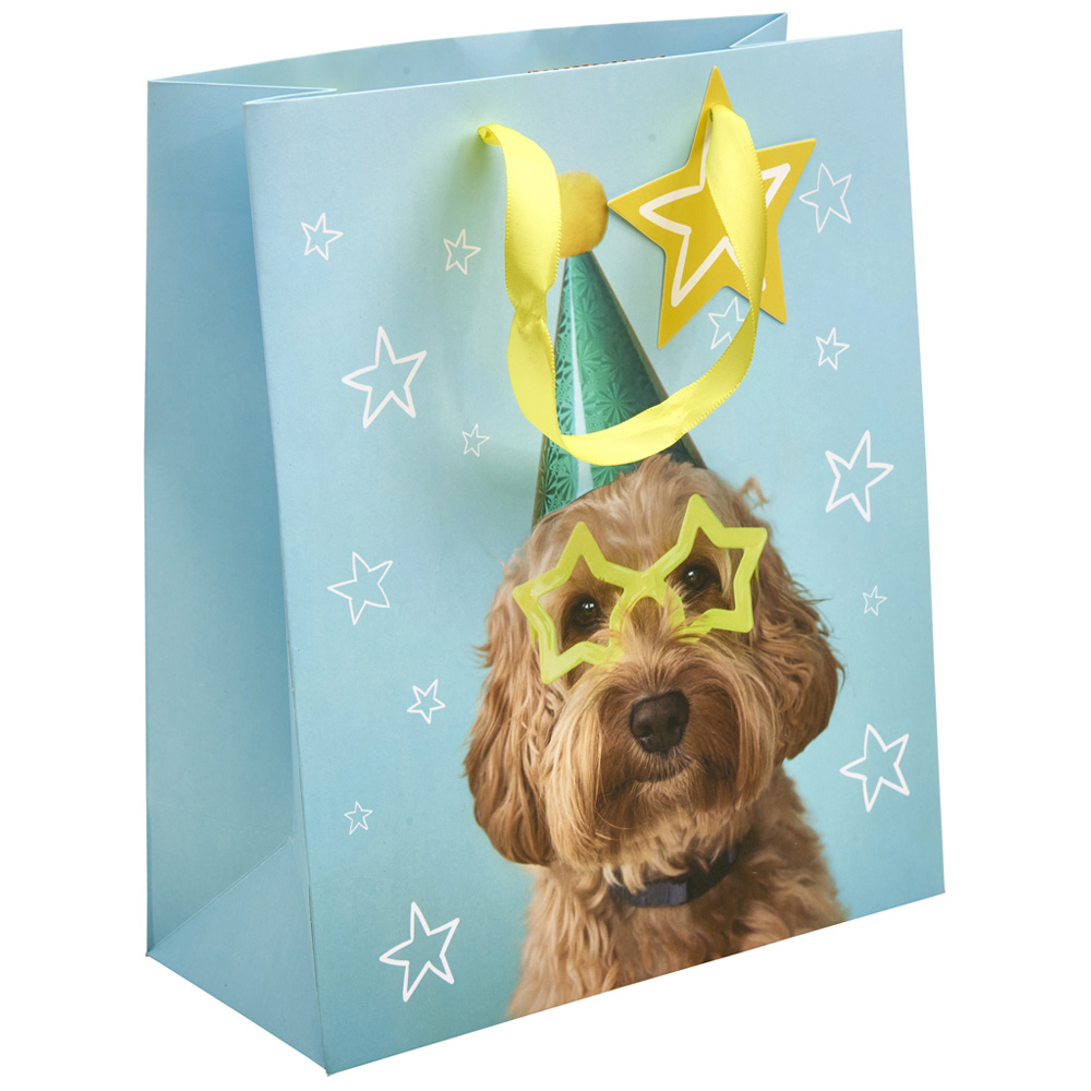 Wilko Medium Dog with Glasses Giftbag Image 1
