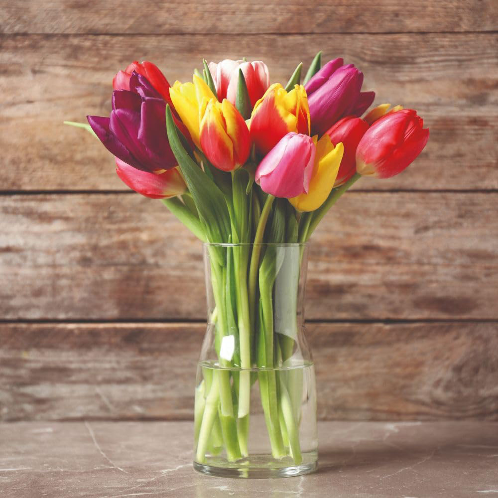 Thompson and Morgan Tulip Triumph Mix Bulbs 16 Pack Image 2