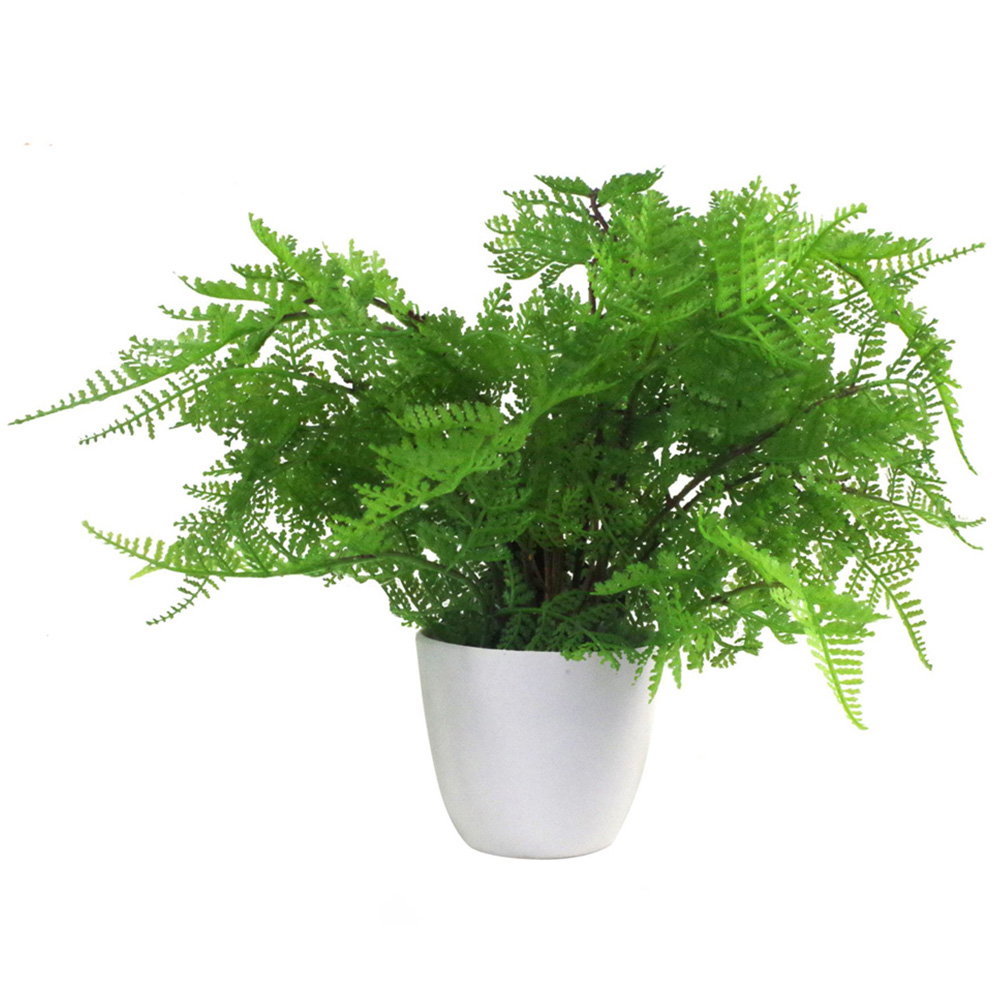 Leaf Lady Fern Artificial Plant Pot 30cm Image 1