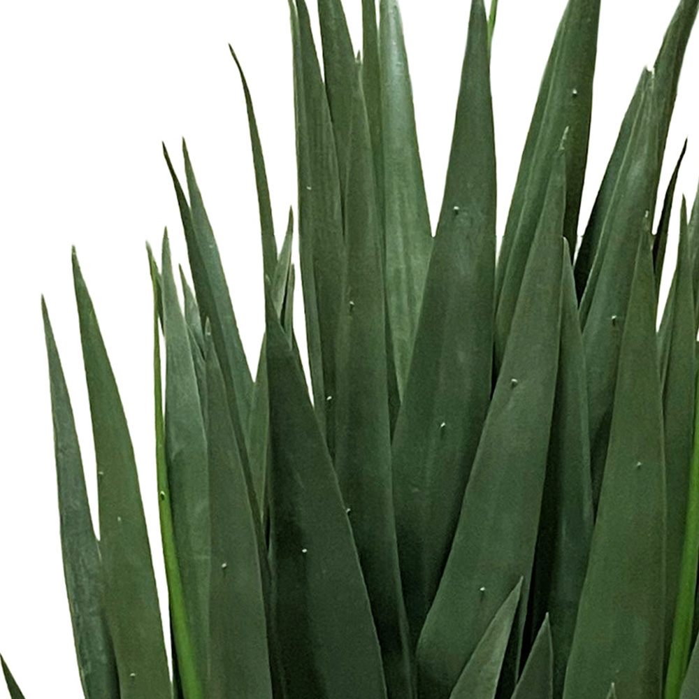 Botanik Yucca Artificial Plant 70cm Image 2