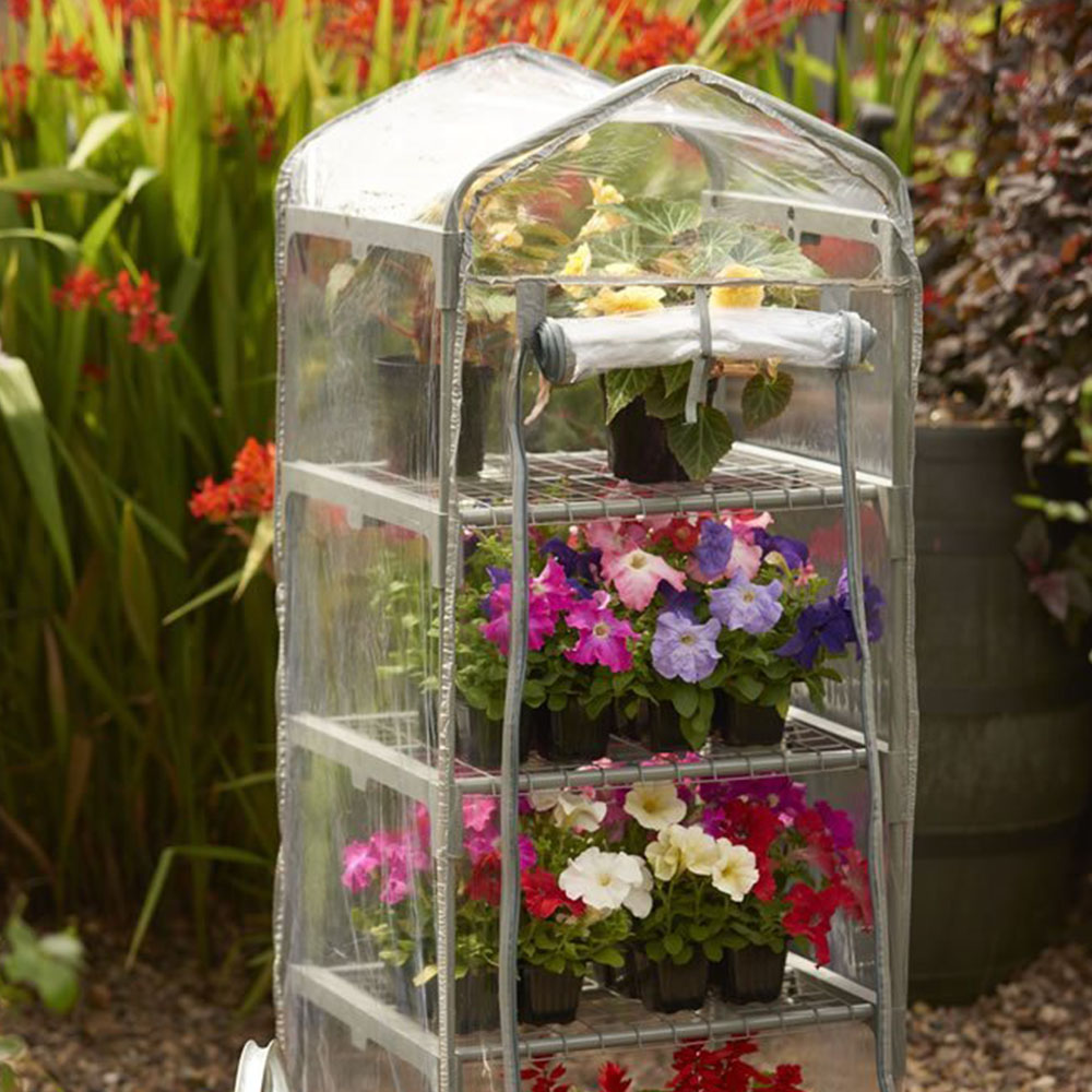Wilko Mini Greenhouse Image 8