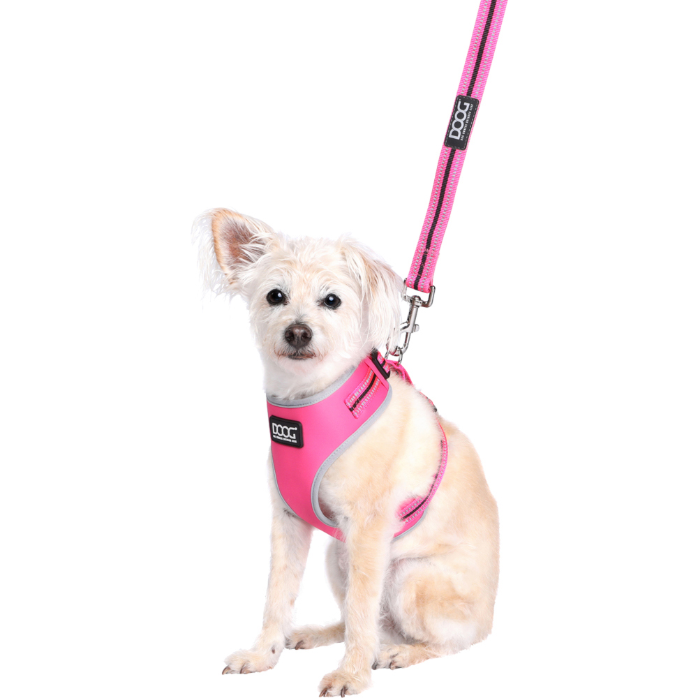 DOOG Medium Neon Lady Dog Harness Image 4