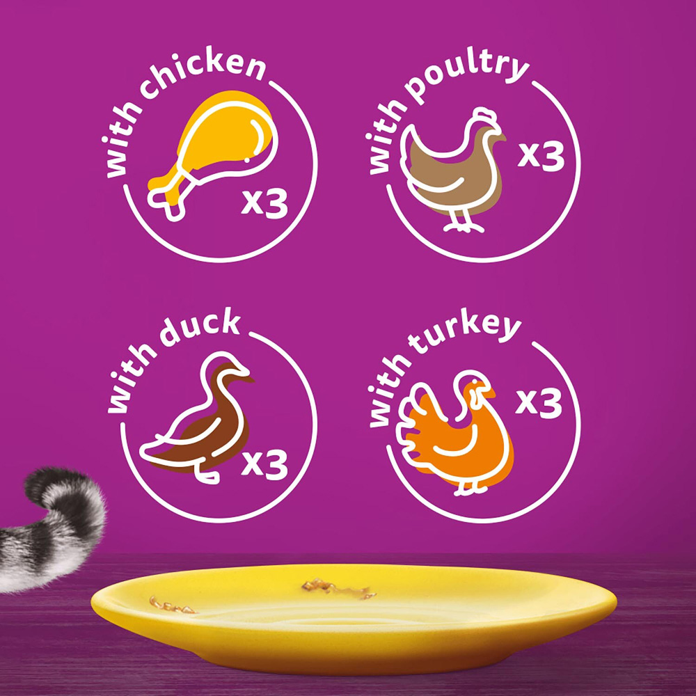 Whiskas 1+ Poultry Feasts in Gravy Wet Adult Cat Food 85g 12 Pack Image 5