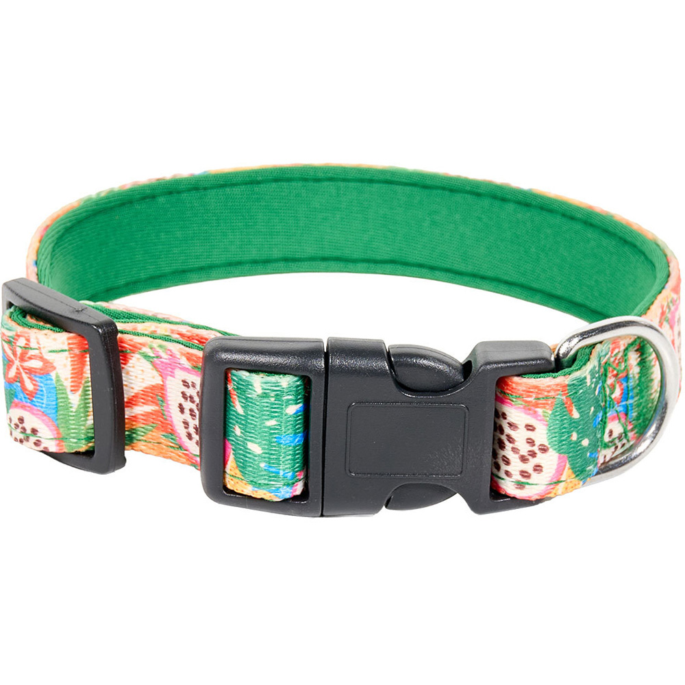 Jungle Fruits Collar and Lead Set Image 4