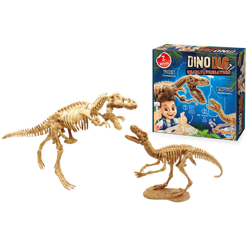 Robbie Toys Dino Dig Image 7