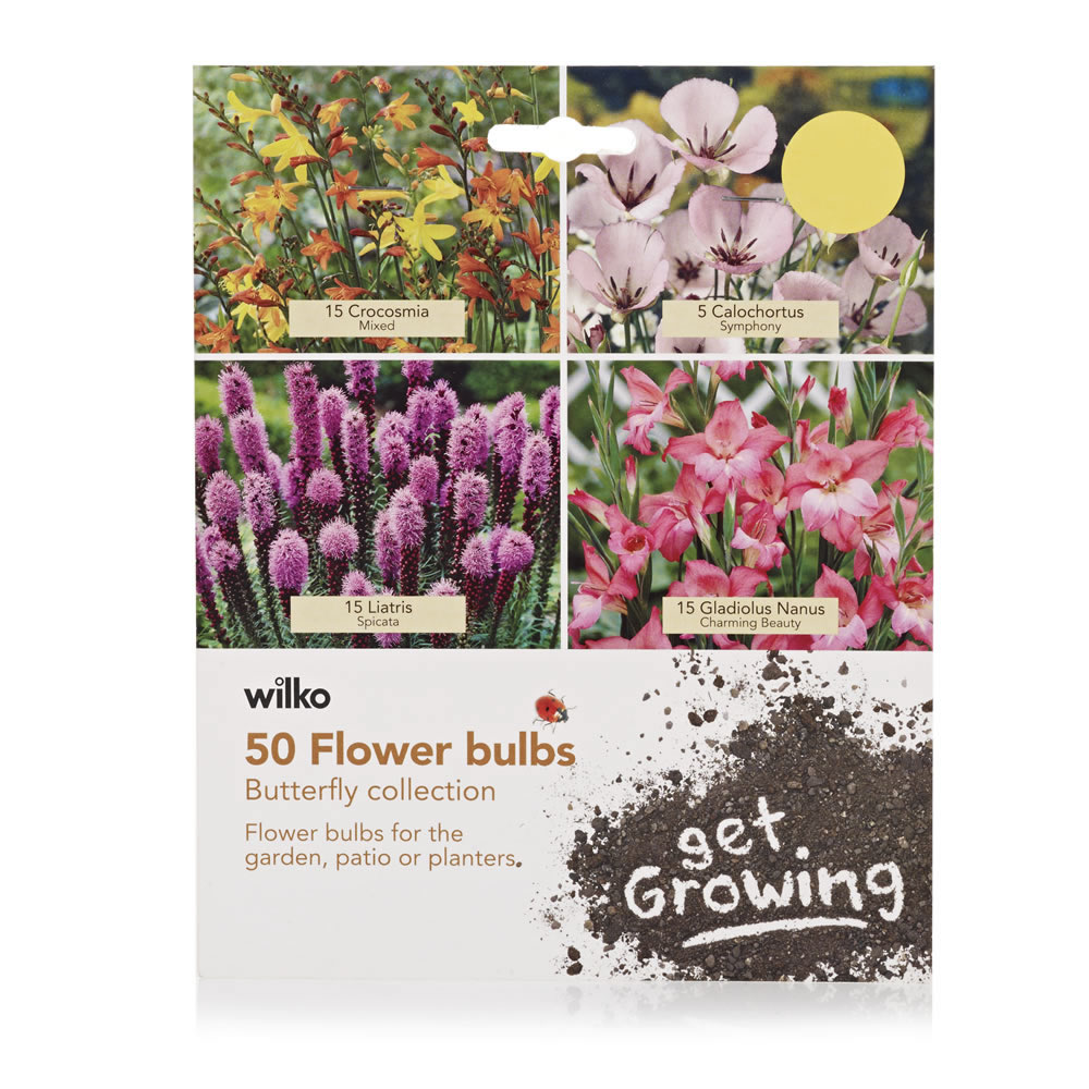 Wilko Butterfly Collection Spring Planting Bulbs 50 Pack Image