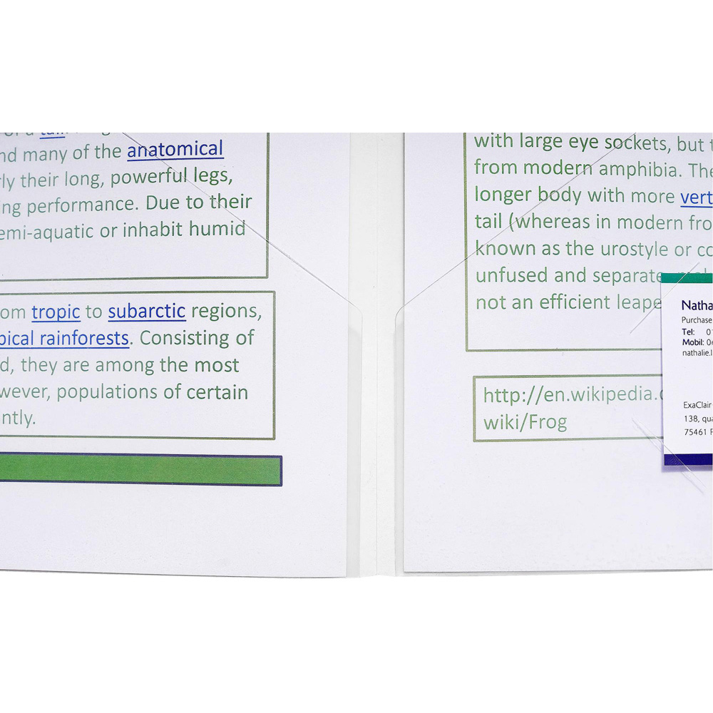 Exacompta Crystal Double Pocket Presentation File 2 x 10 Pack Image 6