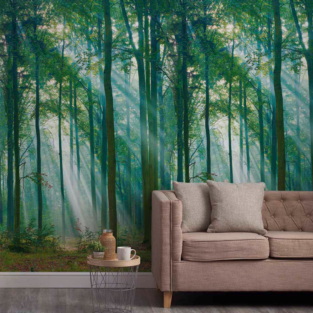 Grandeco Photographic Trees 3 Lane Wall Mural Image 1