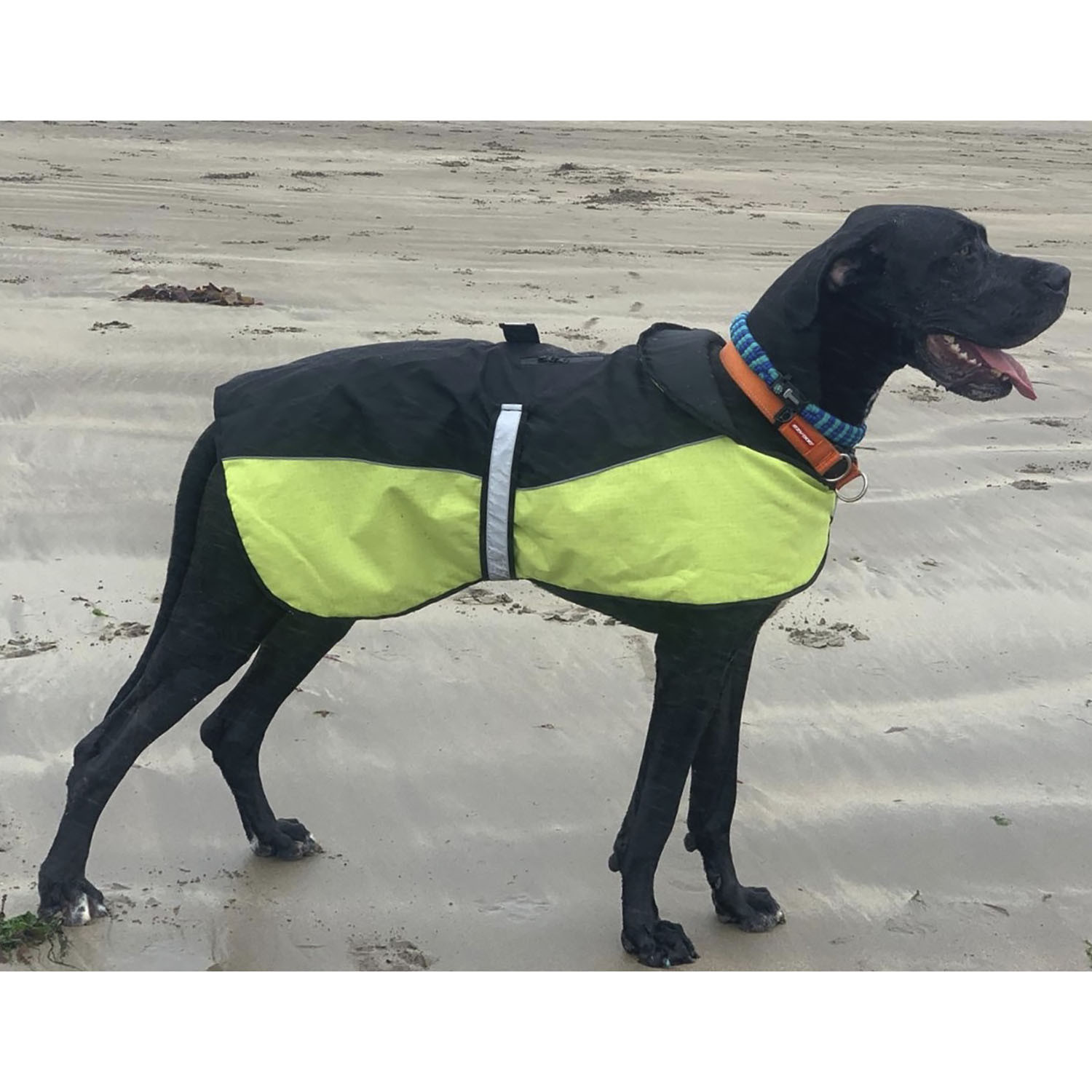 Performance Explorer Fleece Lined Dog Coat - Yellow / 30cm Image 6