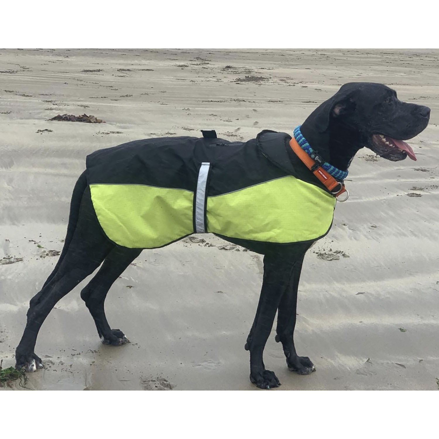 Performance Explorer Fleece Lined Dog Coat - Yellow / 40cm Image 6