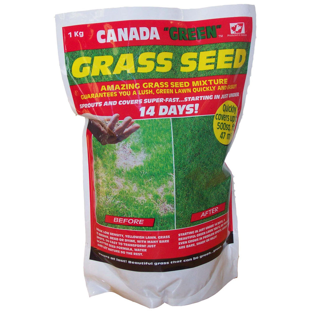 Canada Green Grass Seed 1 Kg Image 1