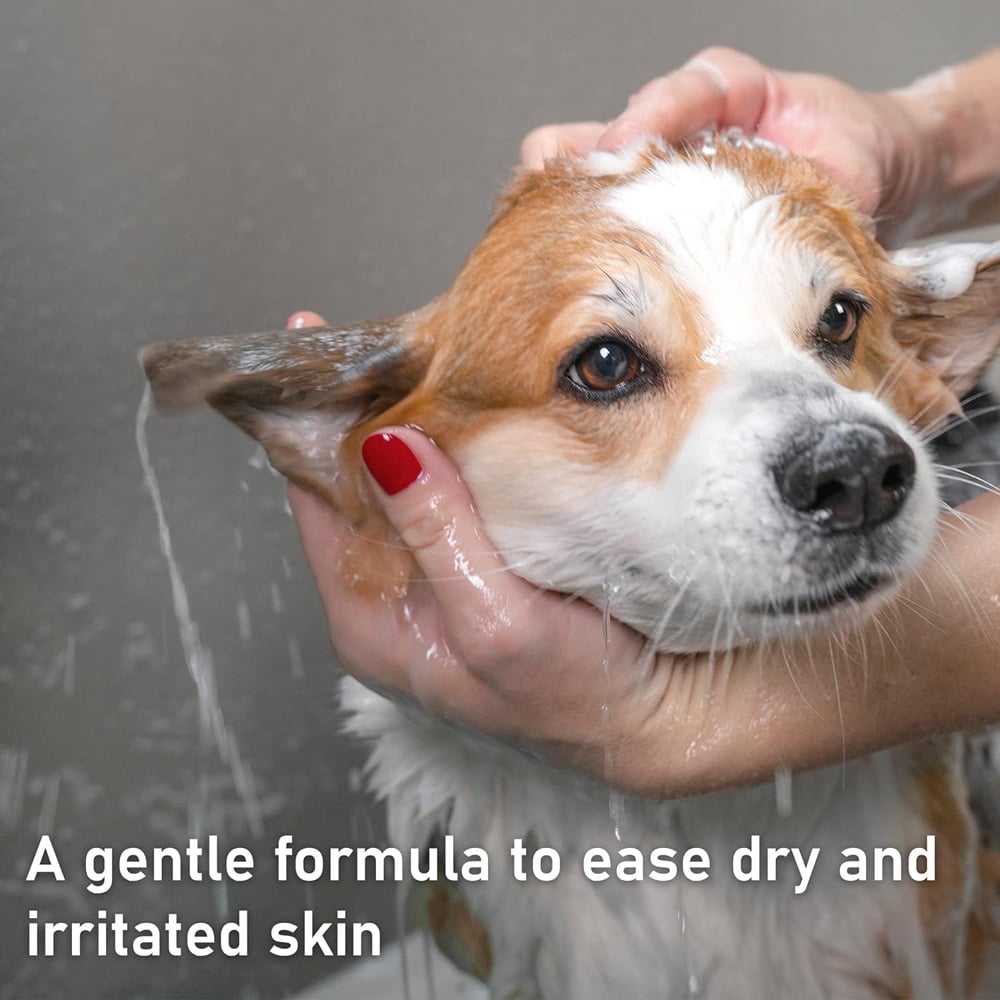 Pretty Pooch Hydrating Oatmeal Shampoo 250ml Image 2