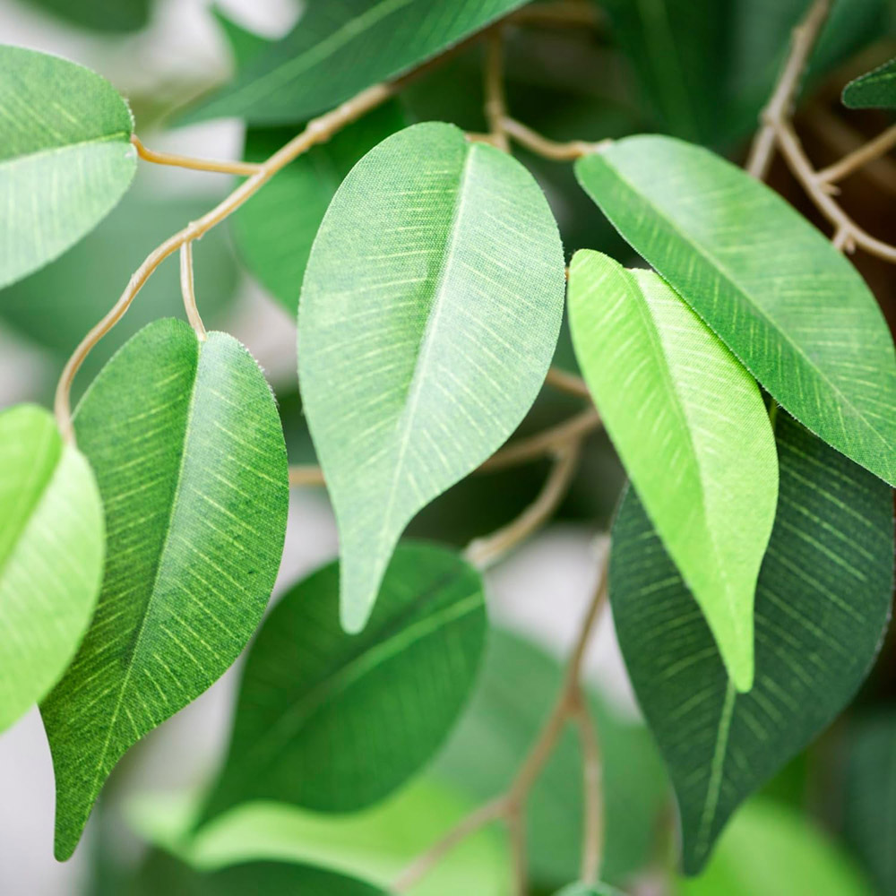 Garden Gear 3 Trunk Artificial Ficus Tree in Pot 90cm Image 5