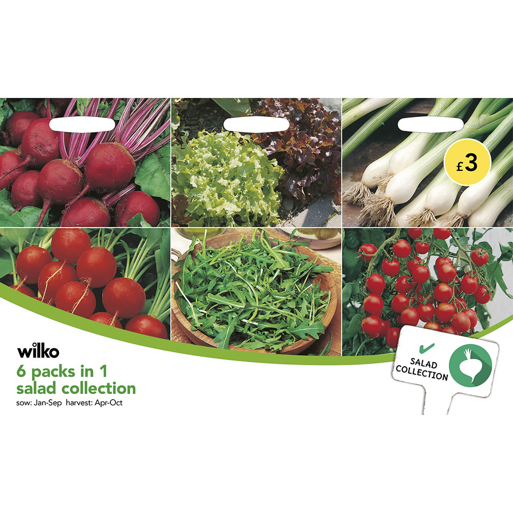 Wilko 6-Packs-in-1 Salad Collection Seeds Pack Image 2