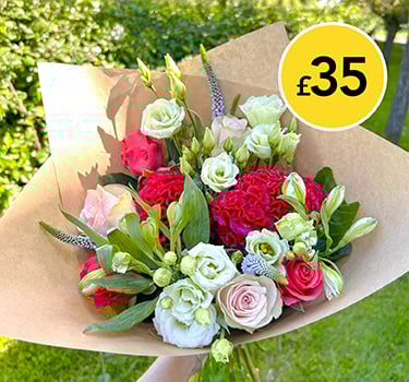 Vibrant Celosia Mix Bouquet