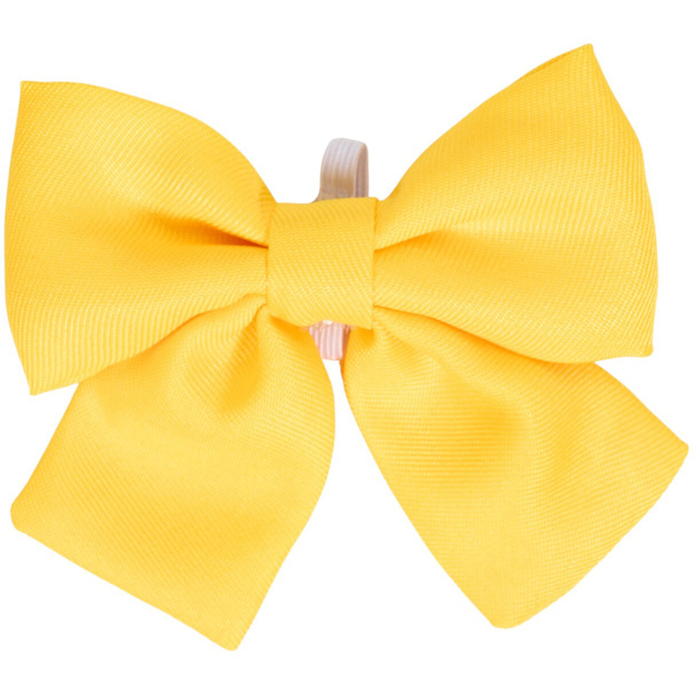 Pack of 3 Jungle Fruits Pet Bows Image 3