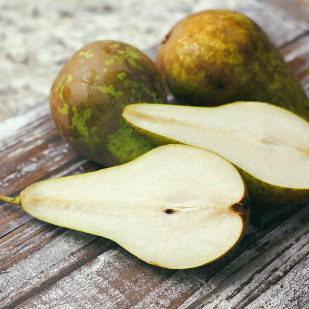 Thompson & Morgan Pear Pyrus Conference Patio Standard Quince C Potted Plant 5L 2 Pack Image 5