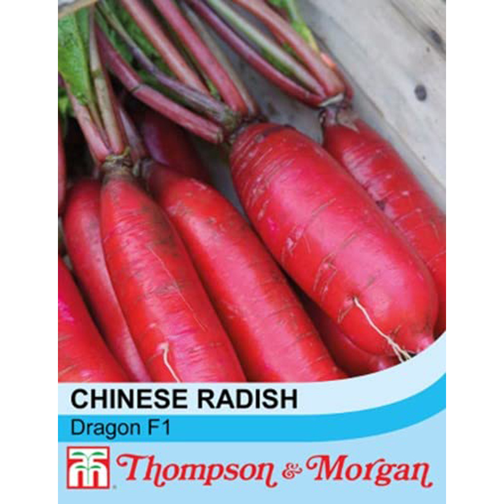 Thompson & Morgan Radish Dragon F1 Hybrid Seeds Image 2