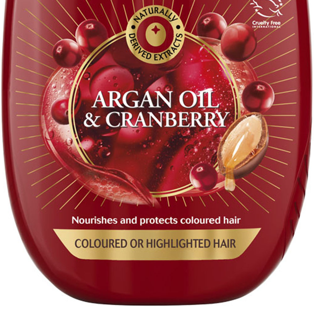 Garnier Ultimate Blends Argan Oil Coloured Hair Shampoo 400ml Image 3