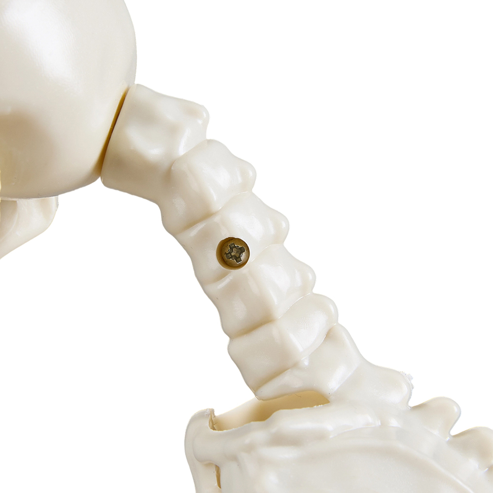 Living and Home Cream White Spooky Cat Skeleton Bone Statue Halloween Figurine 23.5cm Image 5