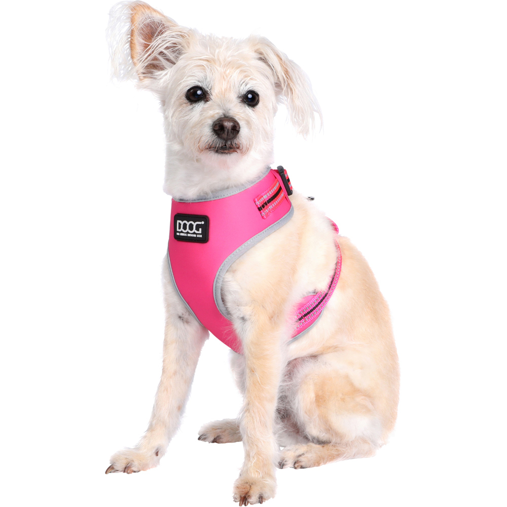 DOOG Small Neon Lady Dog Harness Image 3