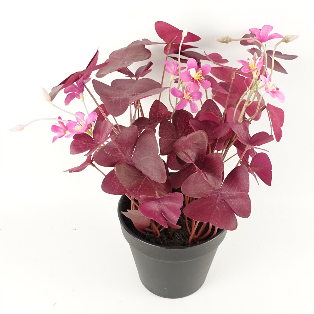 Botanik Purple Shamrock Pink Flowers Artificial Plant in Pot 30cm Image 3