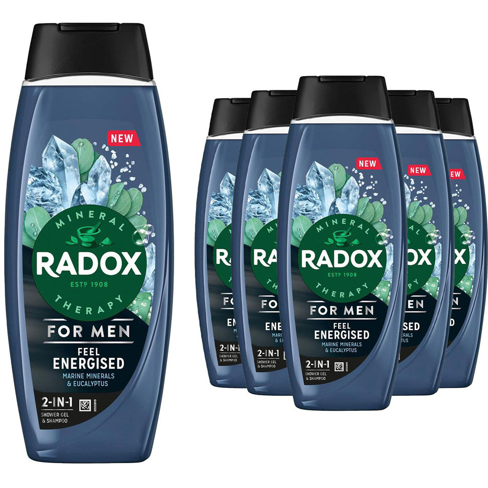 Radox 2-in-1 Mineral Therapy Feel Energised Men Shower Gel and Shampoo 450ml 6 Pack Image 1