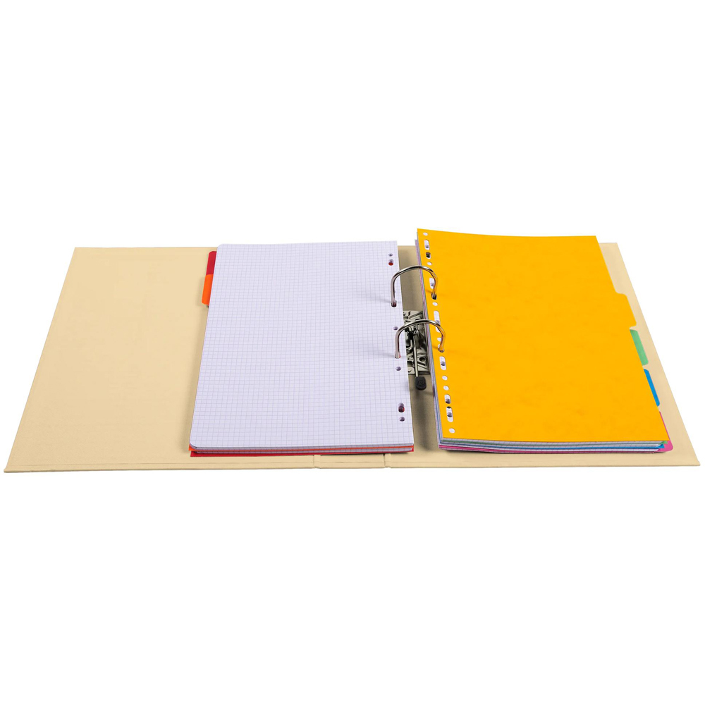 Exacompta PremTouch A4 Mastic PVC Level Arch File 10 Pack Image 3