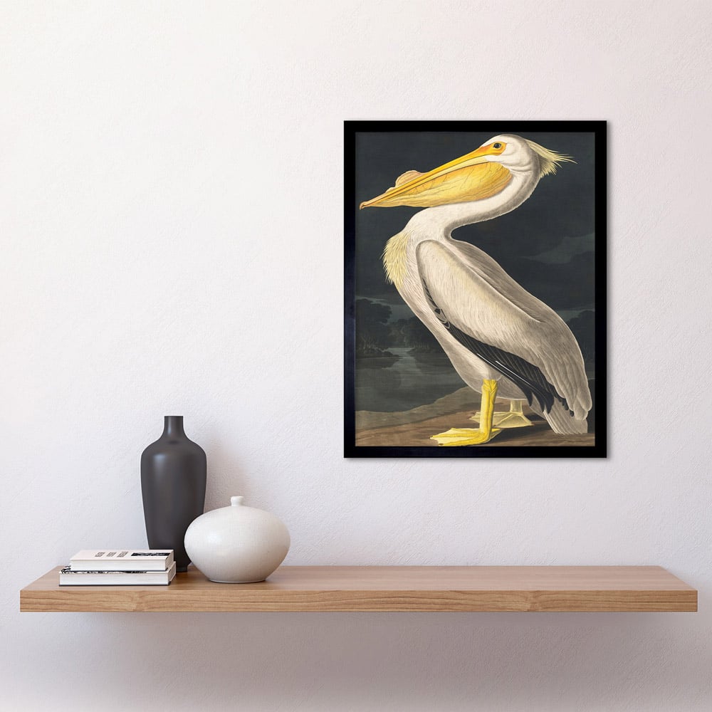 Wee Blue Coo Vintage John James Audubon Pelican Bird Framed Wall Art Print 30 x 41cm Image 2