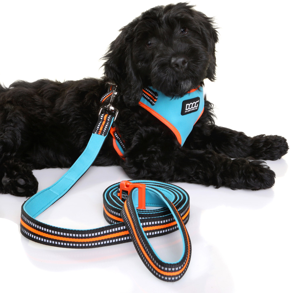 DOOG Large Harbeet Neon Beethoven Dog Harness Image 5