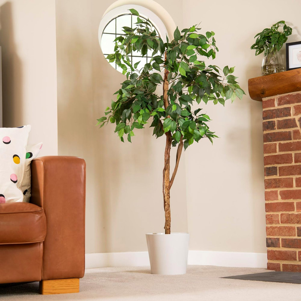 Garden Gear 3 Trunk Artificial Ficus Tree in Pot 150cm Image 2