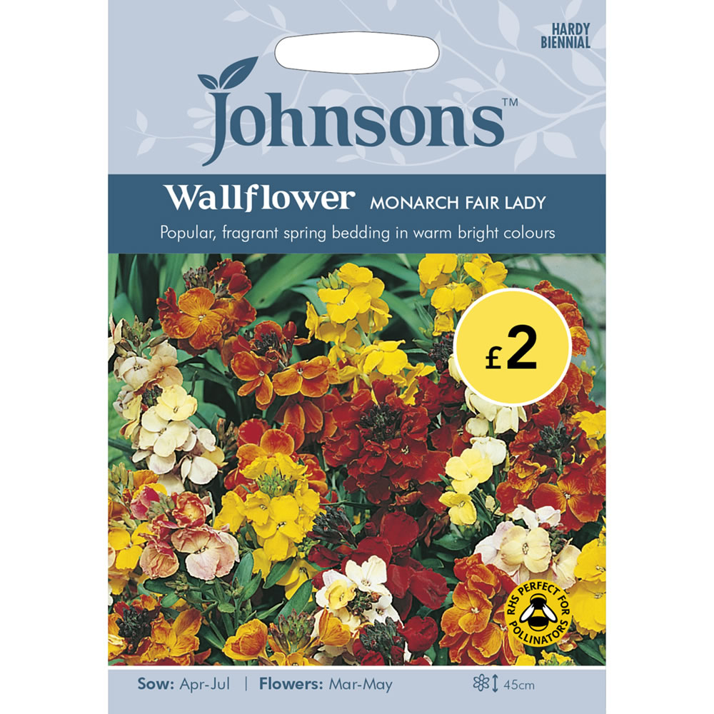 Johnsons Wallflower Monarch Fair Lady Seeds Image 2