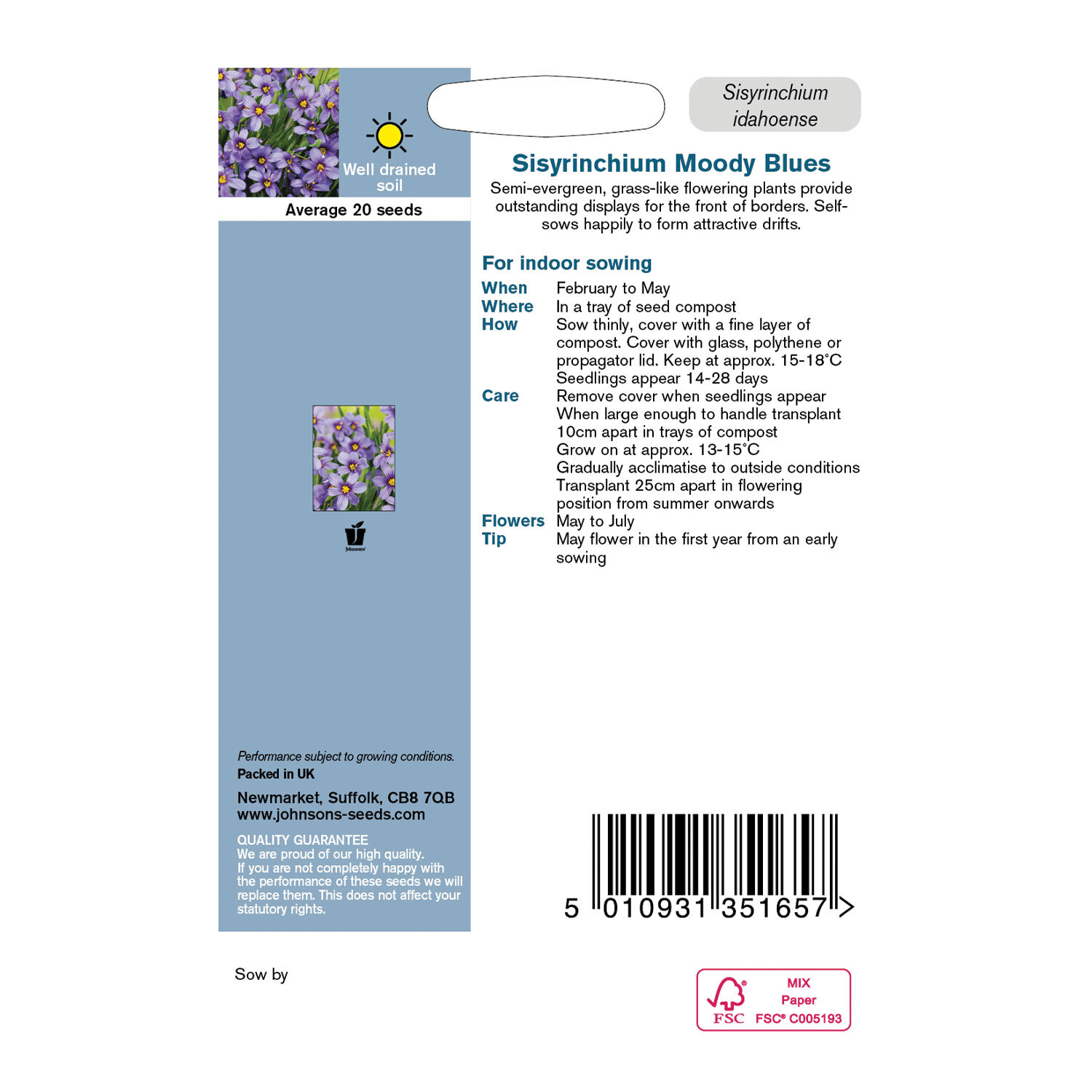 Johnsons Sisyrinchium Moody Blues Flower Seeds Image 3