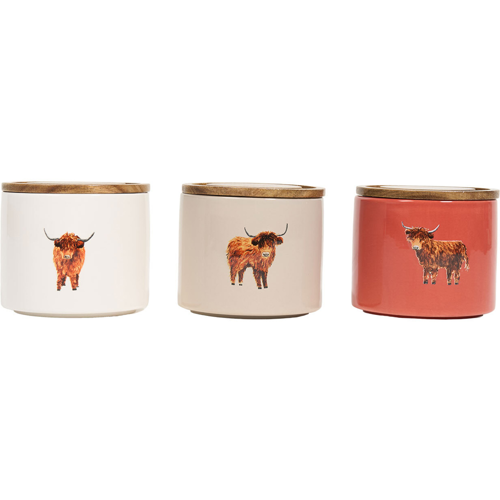 Set of 3 Highland Cow Stacking Canisters Image 2