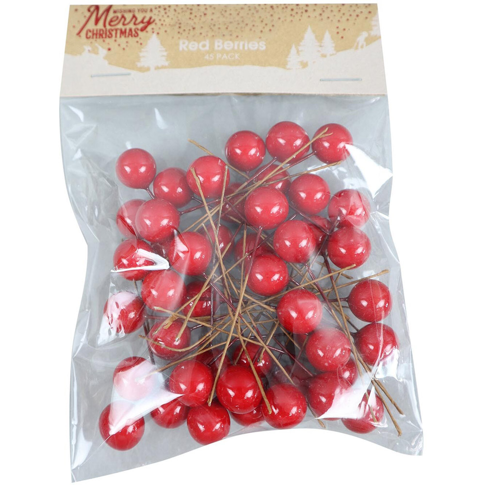 Pack of 45 Berry Picks - Red Image
